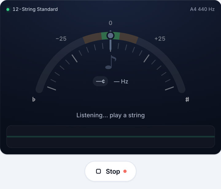 Start the tuner – 12-String Guitar Tuner