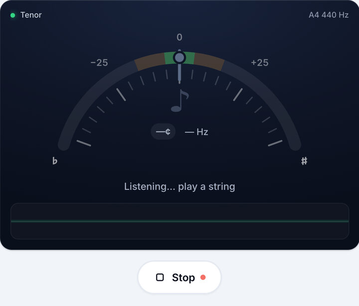 Start the tuner – Tenor Banjo Tuning