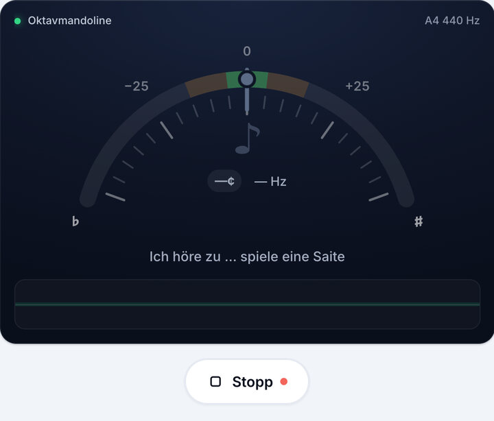 Stimmgerät starten – Oktavmandolinen-Stimmung