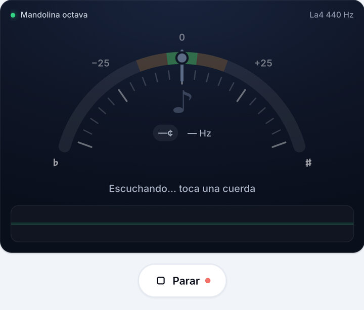 Inicia el afinador – Afinación de la mandolina octava