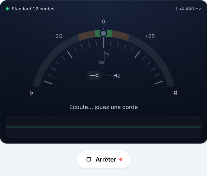 Lancez l’accordeur – Accordeur guitare 12 cordes