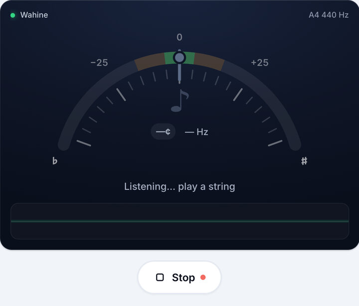 Start the tuner – Wahine Tuning