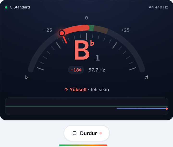 Telleri tek tek çalın – C Standard Bas Akordu