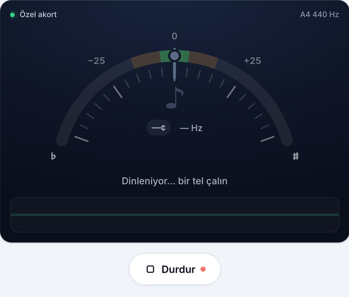 Akort aletini başlatın – Özel Akort Aleti