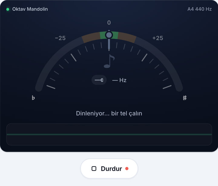 Akort aletini başlatın – Oktav Mandolin Akortu