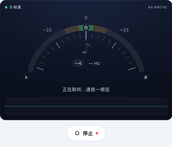 启动调音器 – D 标准 调弦